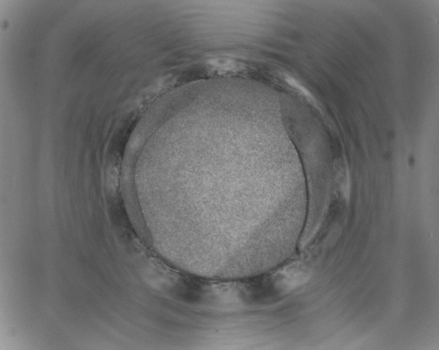 X0000066100417200604071827