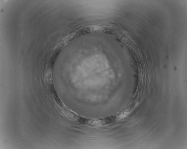 X0000066100419200604071827