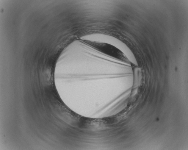 X0000066100420200604071827