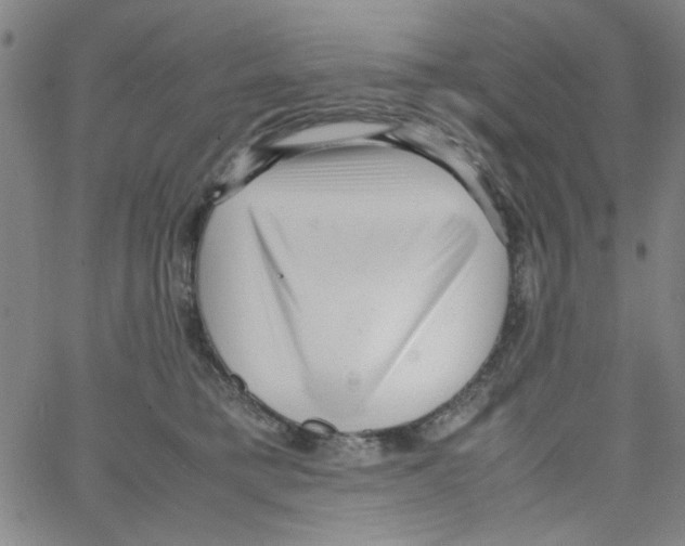 X0000066100421200604071827