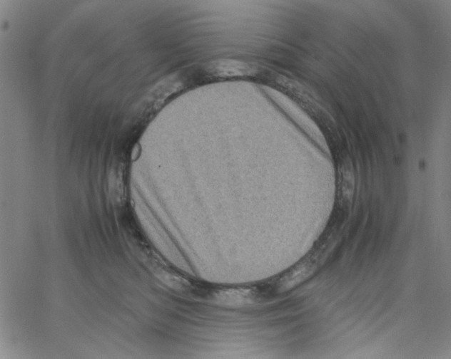 X0000066100422200604071827