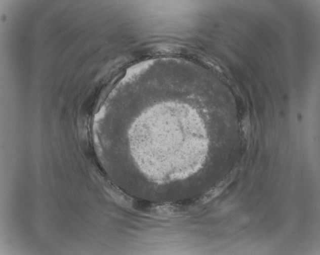 X0000066100423200604071827