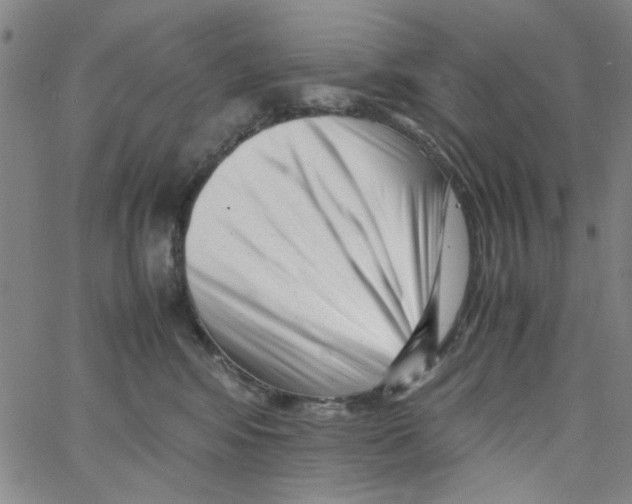 X0000066100424200604071827