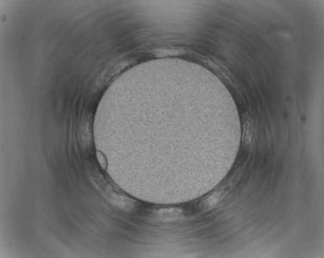 X0000066100426200604071827