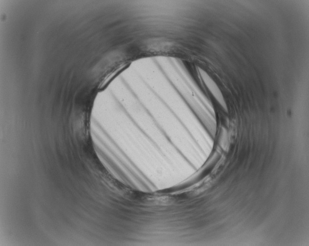 X0000066100428200604071827