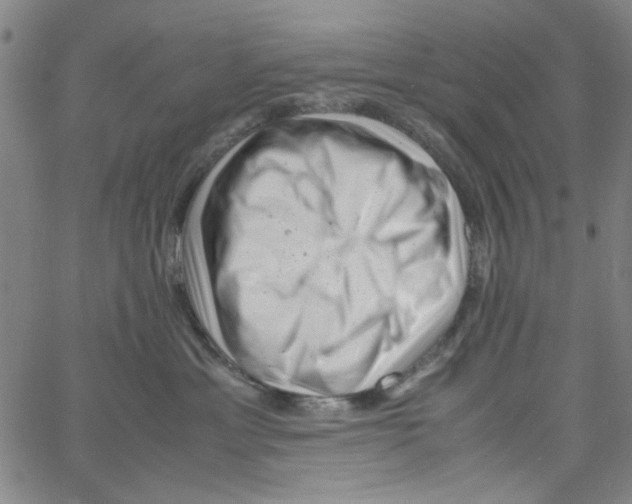 X0000066100429200604071827