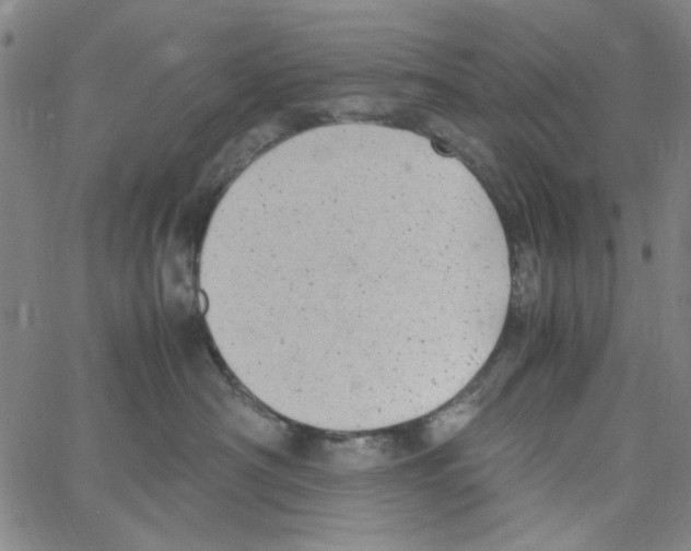 X0000066100430200604071827