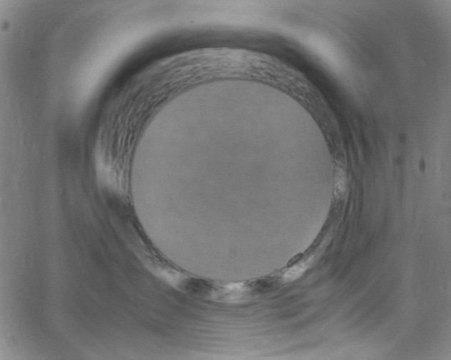 X0000066100431200604071827