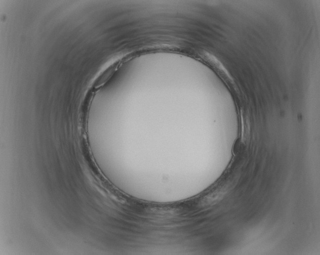 X0000066100435200604071826