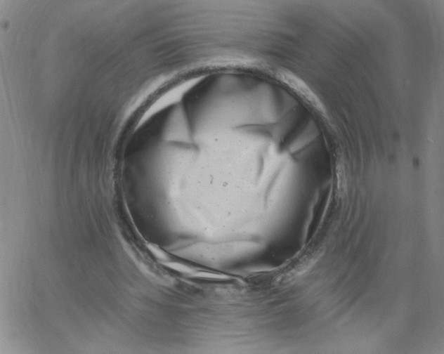 X0000066100436200604071826