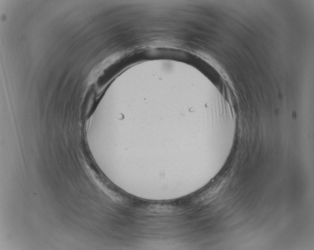 X0000066100437200604071826