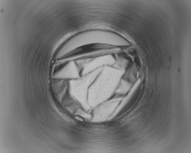 X0000066100438200604071826