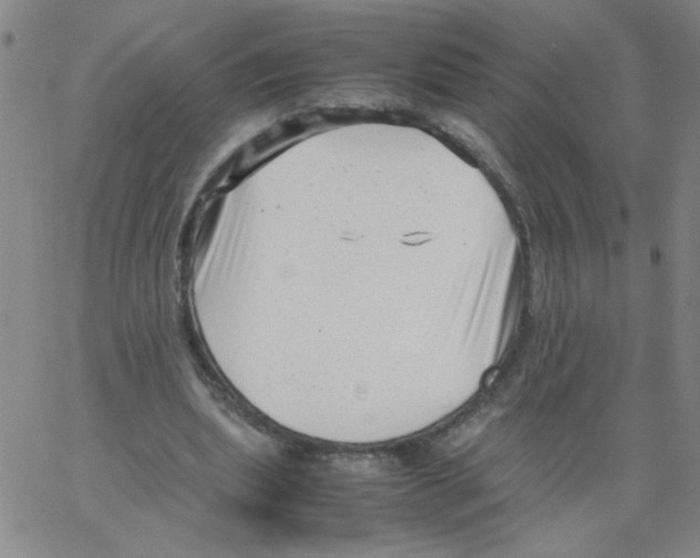 X0000066100439200604071826