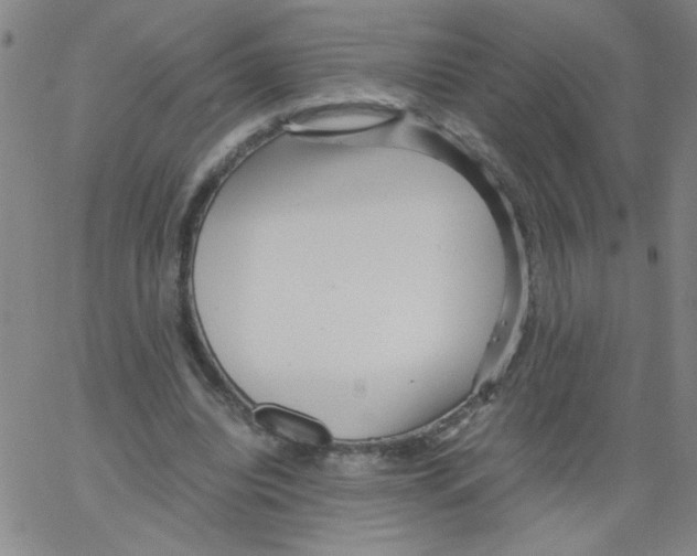 X0000066100440200604071826