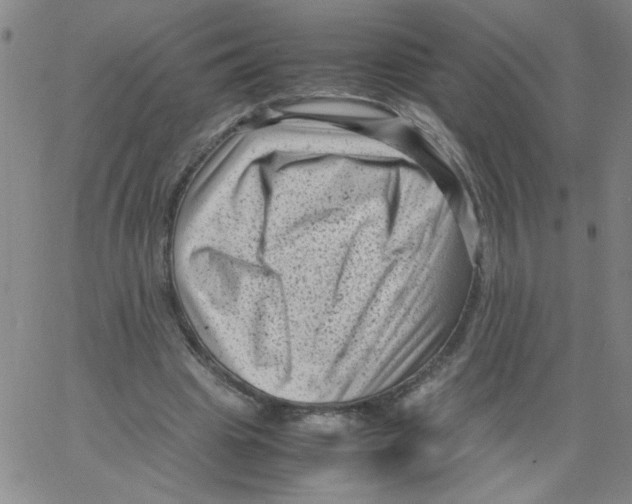 X0000066100441200604071826