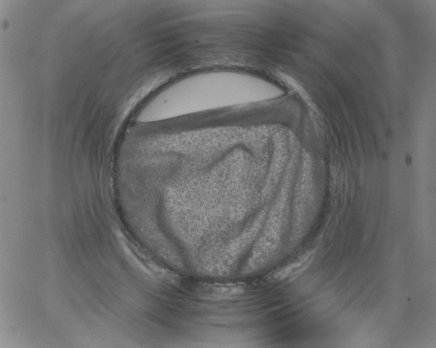 X0000066100443200604071826