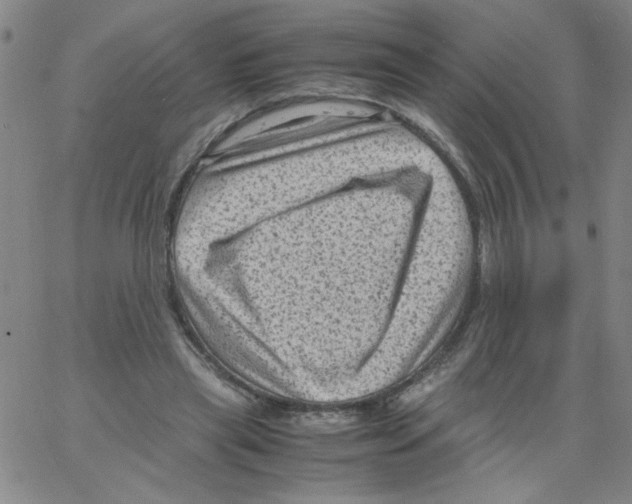 X0000066100445200604071826