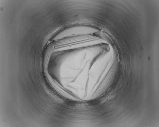 X0000066100446200604071826