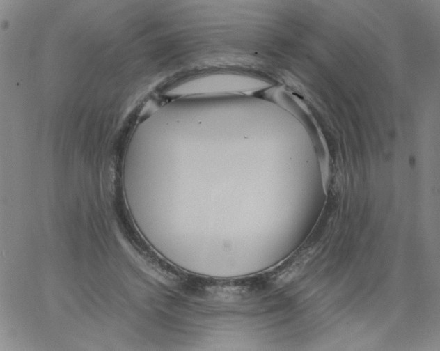 X0000066100448200604071826