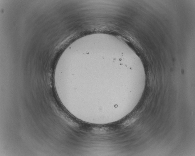 X0000066100450200604071826