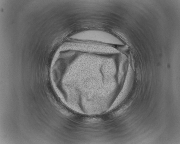 X0000066100453200604071826