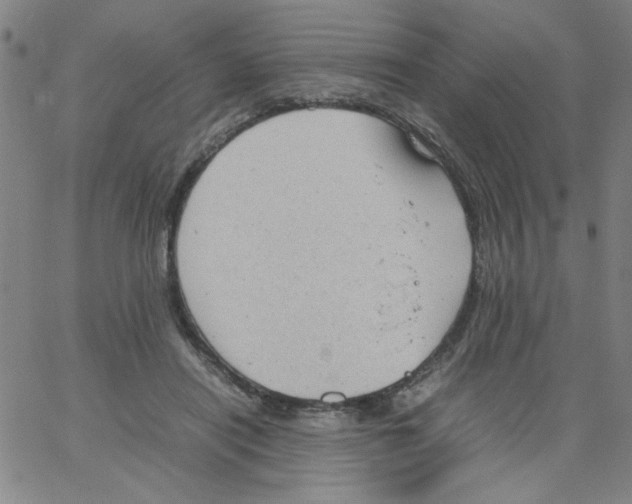 X0000066100454200604071826