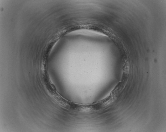 X0000066100456200604071826