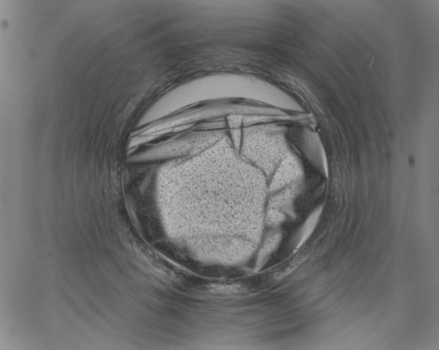 X0000066100457200604071826