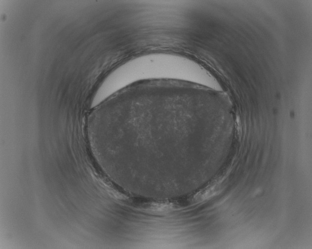 X0000066100458200604071826