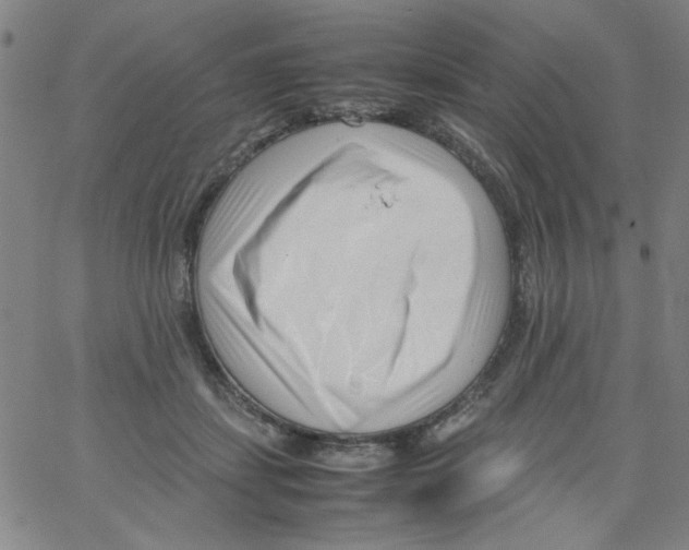 X0000066100459200604071826