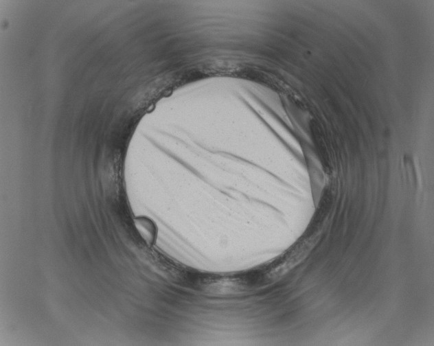 X0000066100460200604071826