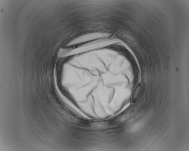 X0000066100461200604071826