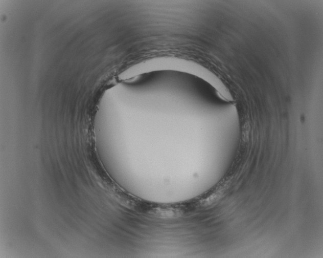 X0000066100464200604071826