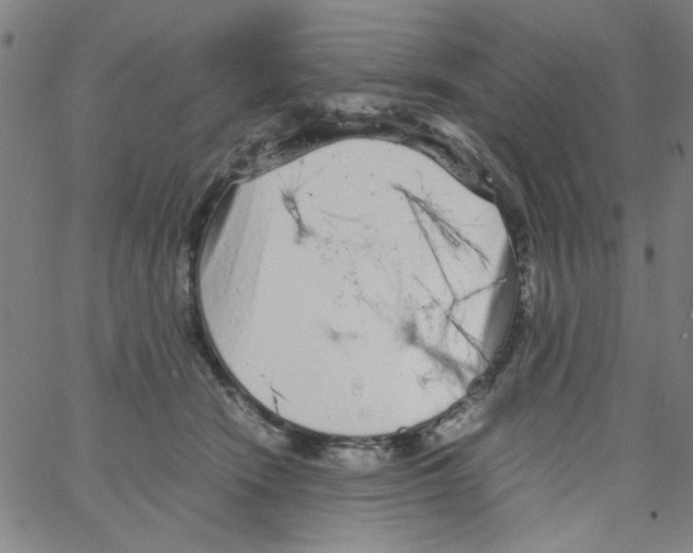 X0000066100466200604071827