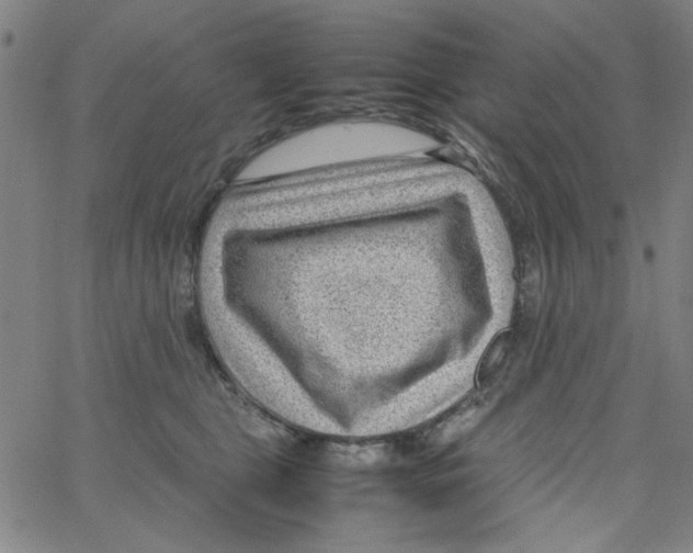 X0000066100469200604071827