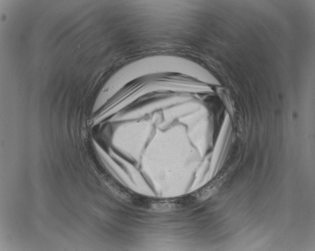 X0000066100470200604071827