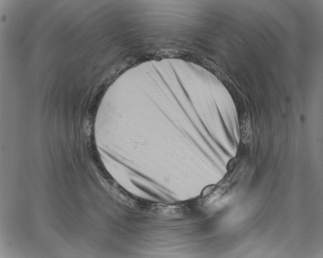 X0000066100472200604071827