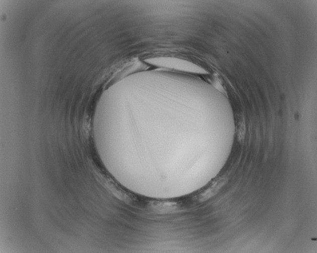 X0000066100476200604071827