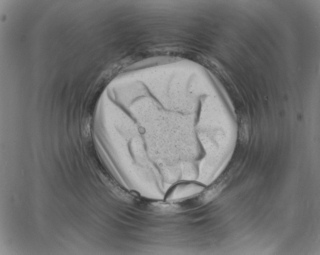 X0000066100477200604071827