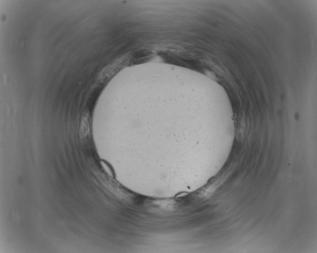 X0000066100478200604071827