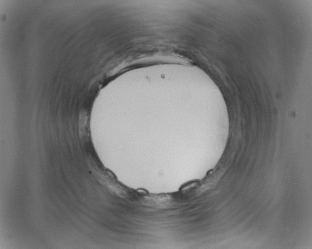 X0000066100480200604071827