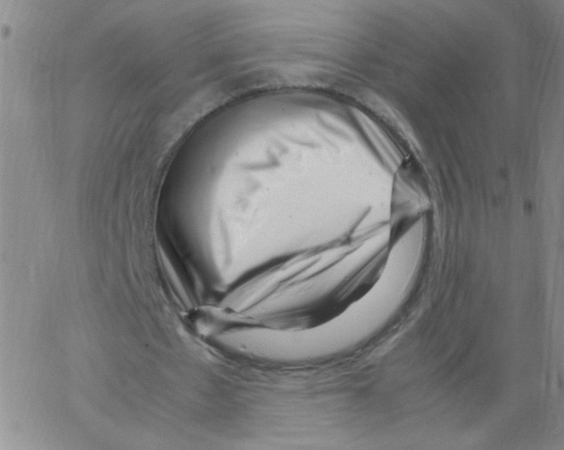 X0000066100481200604071826