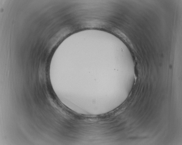 X0000066100482200604071826