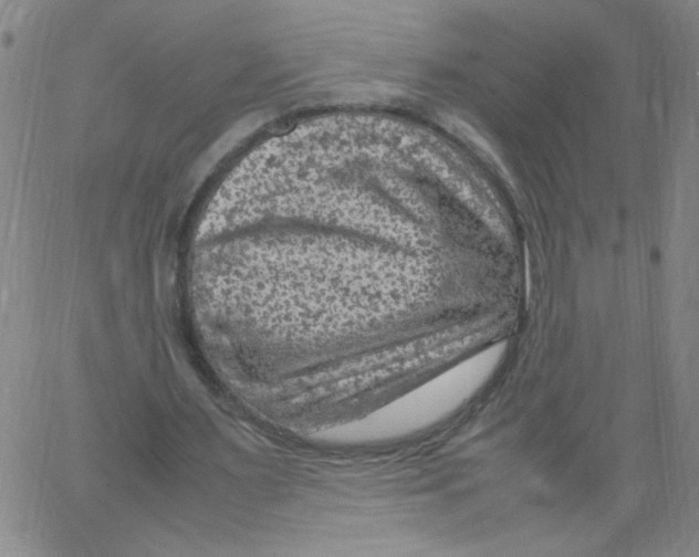 X0000066100483200604071826