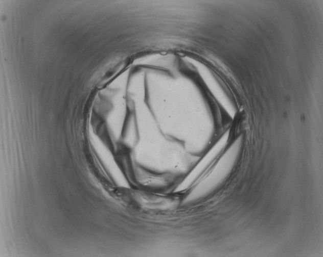 X0000066100485200604071826