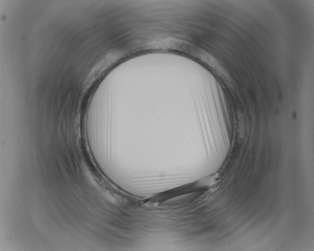 X0000066100486200604071826