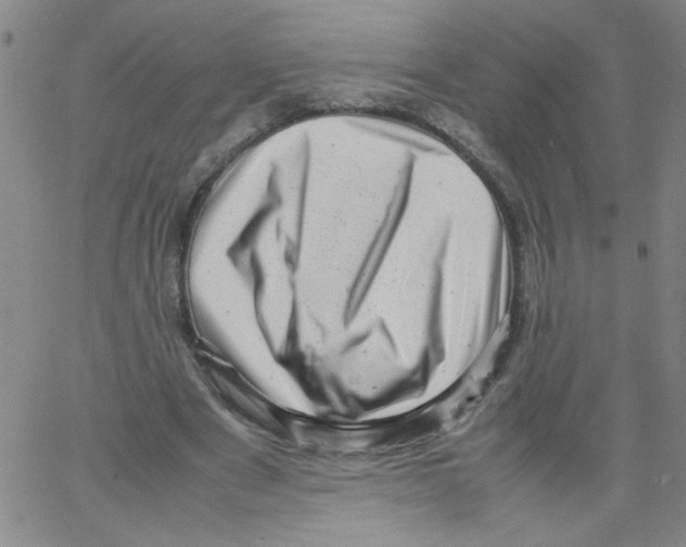 X0000066100489200604071826