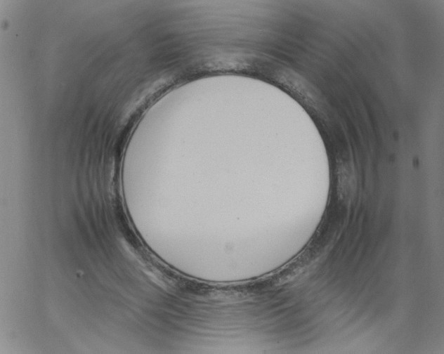 X0000066100490200604071826