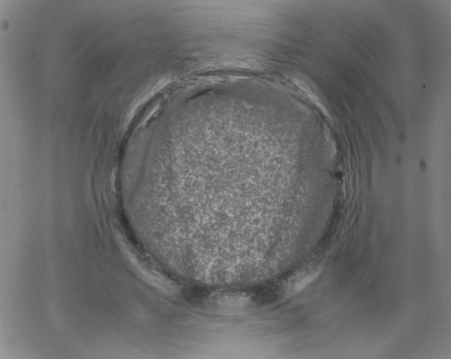 X0000066100491200604071826