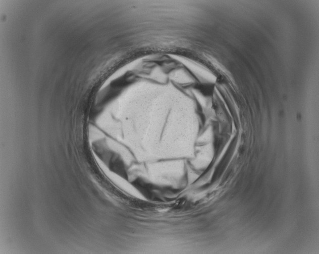 X0000066100493200604071826